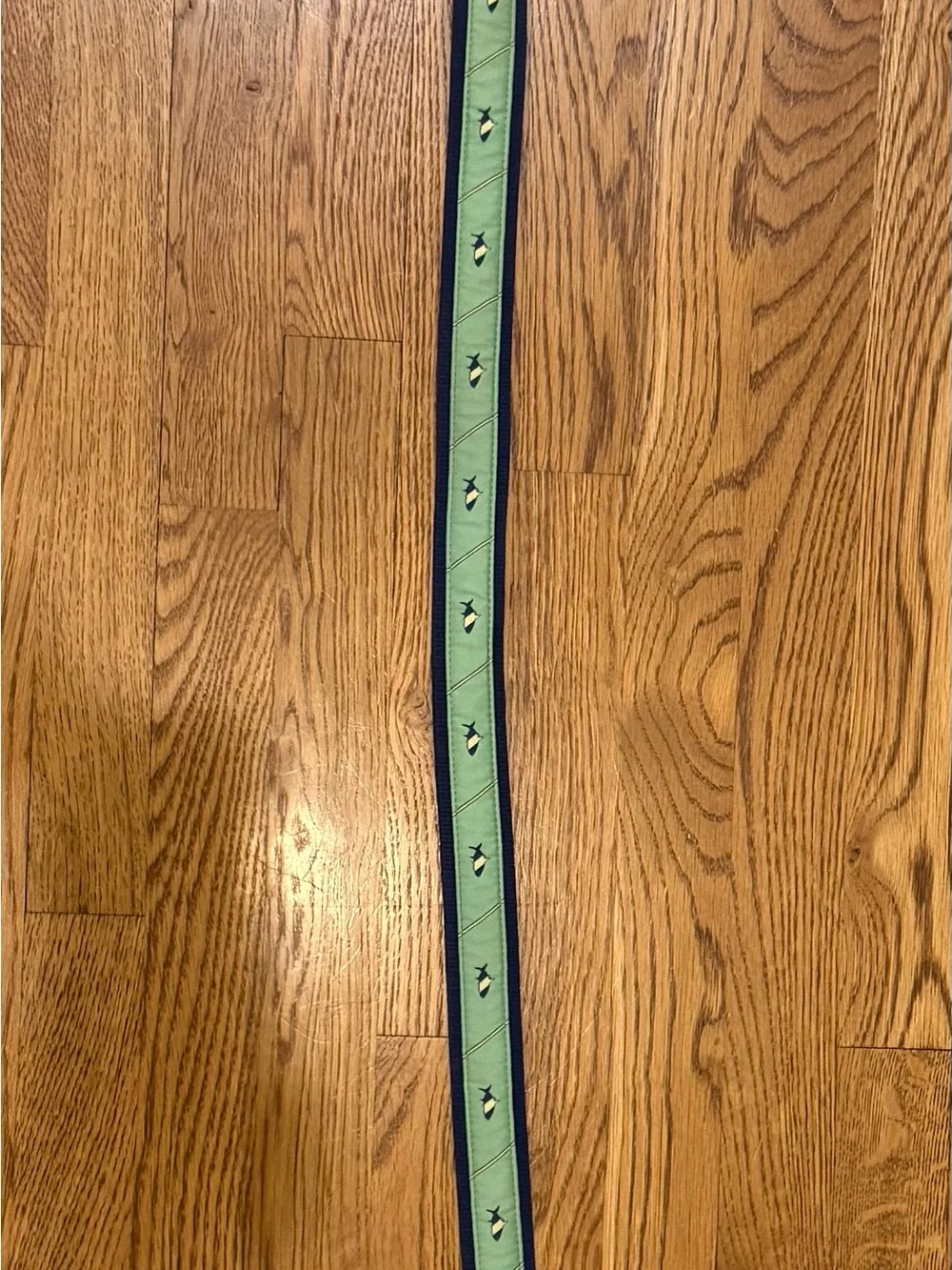 Mint Green Embroidered Leather Belt with Dark Trim